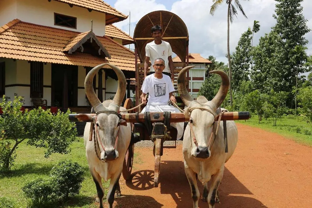 *** منتجع فندق Rasa Gurukul Kizhake Chālakudi الهند