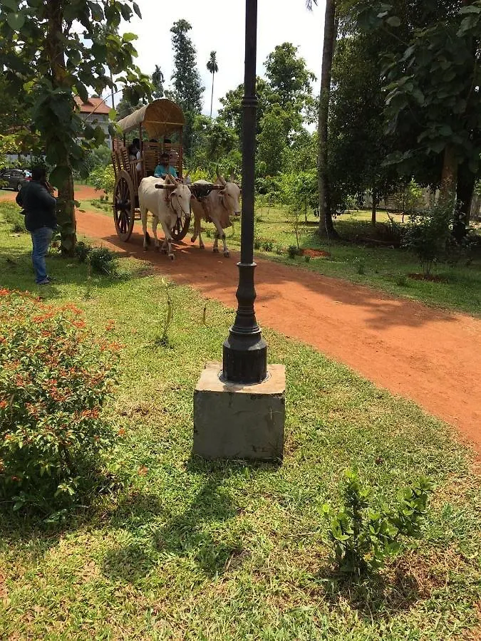 فندق Rasa Gurukul Kizhake Chālakudi 3*,