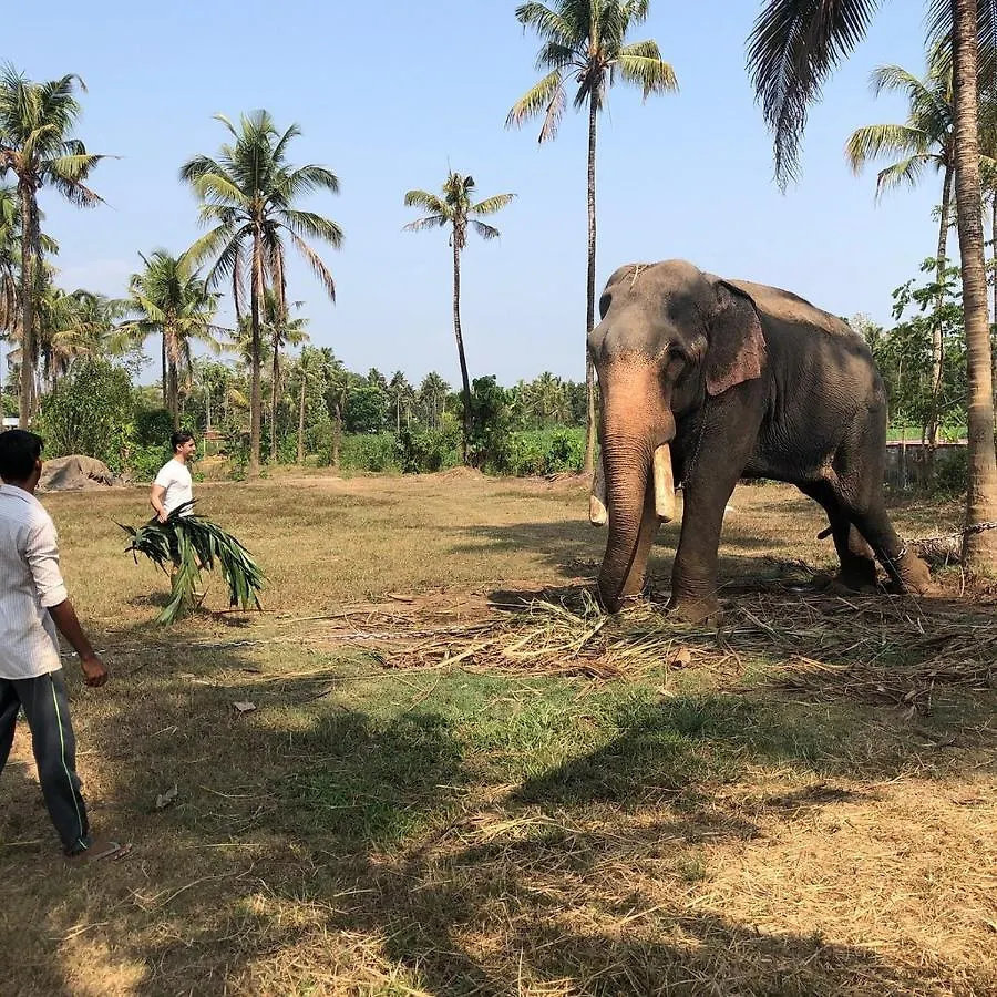 فندق Rasa Gurukul Kizhake Chālakudi